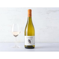 Vin de France Blanc