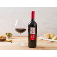 Sangiovese Superiore Senza Solfiti Romagna DOC BIO