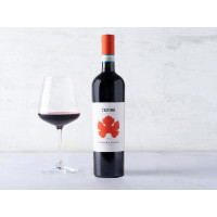 Barbera d'Alba DOC