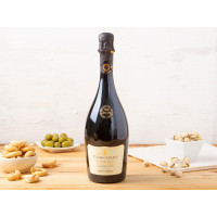 Lambrusco Reggiano DOC secco Concerto BIO