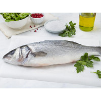 Branzino italiano fresco taglia grande