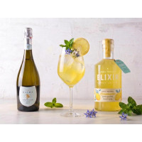 Kit Limoncello Spritz