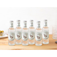 6 Acqua tonica dry bitter