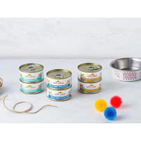 6 Filetti per gatto con tonno assortito