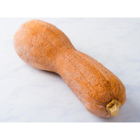 Zucca violina BIO