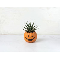 Pianta grassa in vaso Halloween