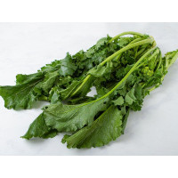 Cime di rapa