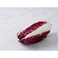 Radicchio lungo