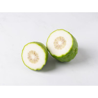Cedro italiano