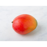 Mango BIO