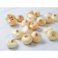 Cipolle Borettana