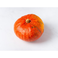 Zucca hokkaido BIO