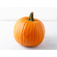 Zucca Halloween
