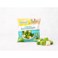Contorno di verdure misto benessere surgelate