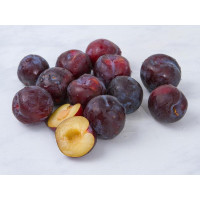 Susine angeleno BIO