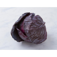 Cavolo cappuccio rosso