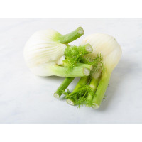 Finocchi BIO