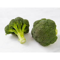 Broccolo