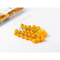 Pomodoro ciliegino giallo nickel free