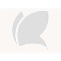 Filetti vegetali al gusto mare