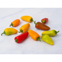 Mini peperoni snack BIO
