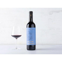 Langhe Nebbiolo DOC