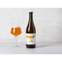 Birra bionda non filtrata