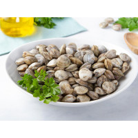 Vongole lupini dell'Adriatico