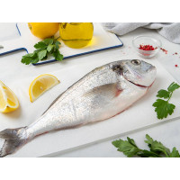 Orata del Salento allevata in mare aperto