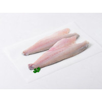 Filetto di branzino BIO