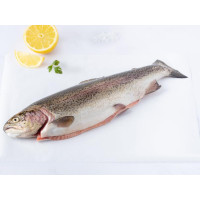 Trota del Trentino IGP salmonata eviscerata