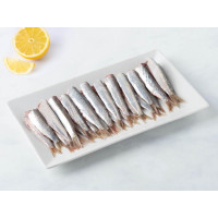 Sardine pulite fresche dell'Adriatico