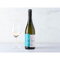 Chardonnay Piemonte DOC