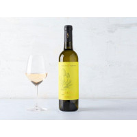 Langhe Rossese Bianco DOC
