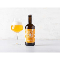 Birra Golden ALE