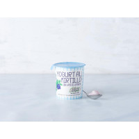 Yogurt di latteria al mirtillo