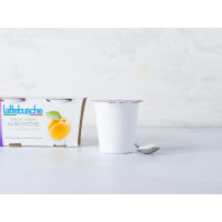 Lattebusche Yogurt magro all'albicocca