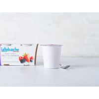 Lattebusche Yogurt magro ai frutti di bosco