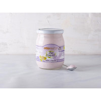 Yogurt magro al mirtillo BIO con latte fieno STG