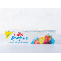 Mix Yogurt zero grassi alla frutta