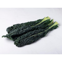 Cavolo nero