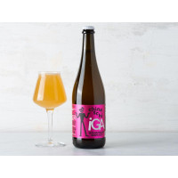 Birra Sicilian Italian Grape Ale Z