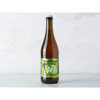 Birra Sicilian American Pale Ale