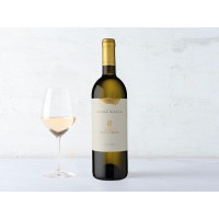 Pinot Grigio DOC
