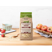 Fiocchi integrali di avena grandi BIO