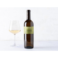 Catarratto Sicilia DOC BIO