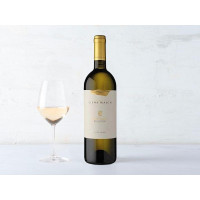 Riesling DOC