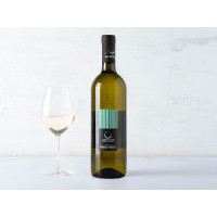 Pinot Nero vinificato in bianco vivace Pavia IGT