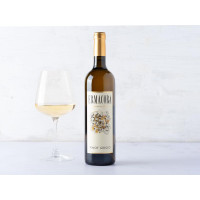 Pinot Grigio DOC Friuli Colli Orientali