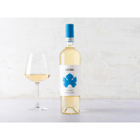 Langhe DOC Riesling